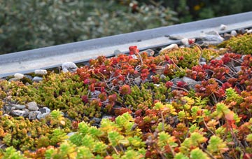 the cost of Miles Green green roof installation