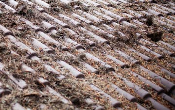 Miles Green roof cleaning companies